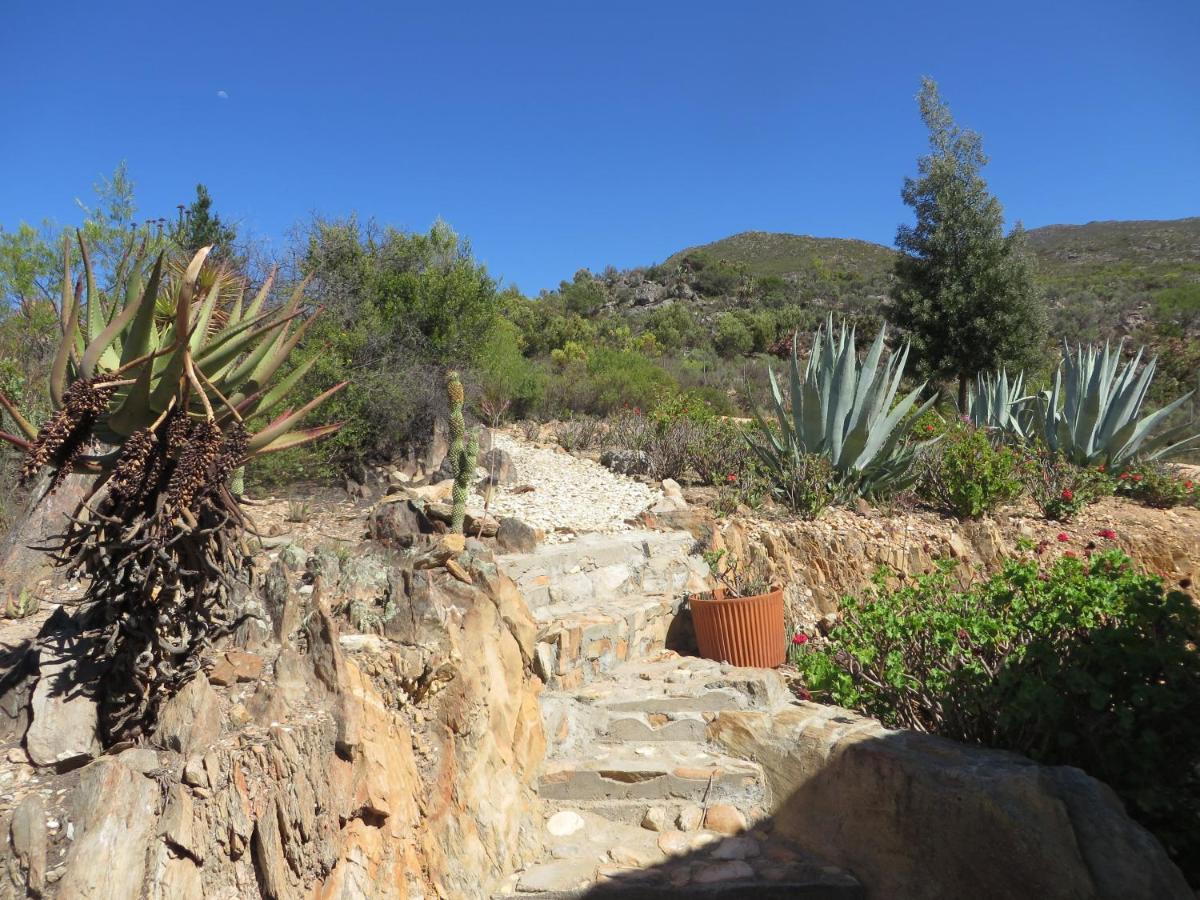 Ongelegen Bo Kouga Mountain Retreat酒店 外观 照片